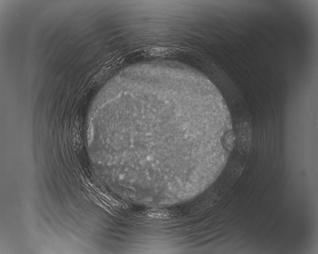 X0000085080653200703261259