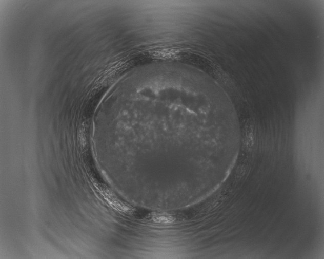 X0000085080658200703261259