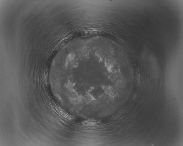 X0000085080661200703261259