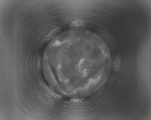 X0000085080662200703261259