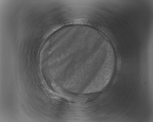 X0000085080673200703261259