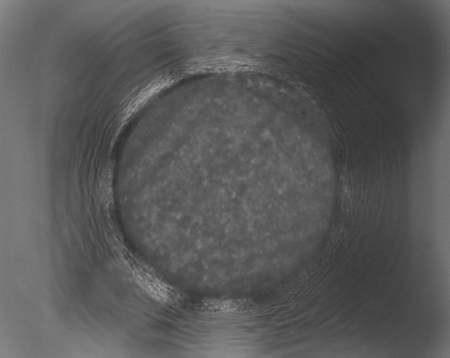 X0000085080679200703261259