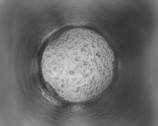 X0000085080684200703261258