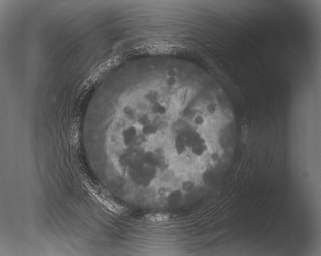 X0000085080687200703261258