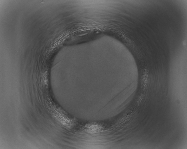 X0000085080689200703261258