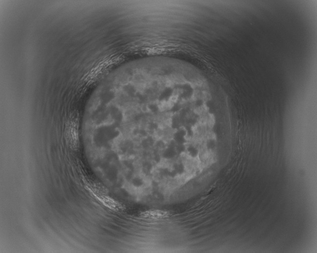 X0000085080691200703261258