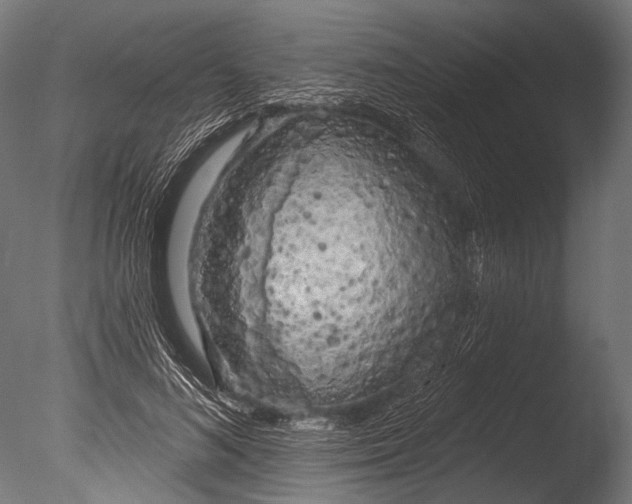 X0000085080692200703261258