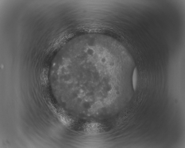 X0000085080695200703261258