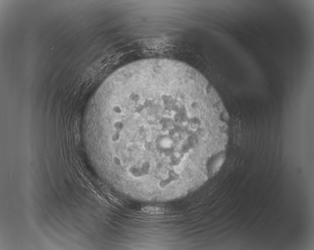 X0000085080699200703261258