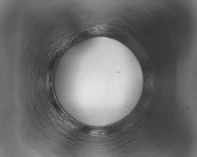 X0000085080700200703261258