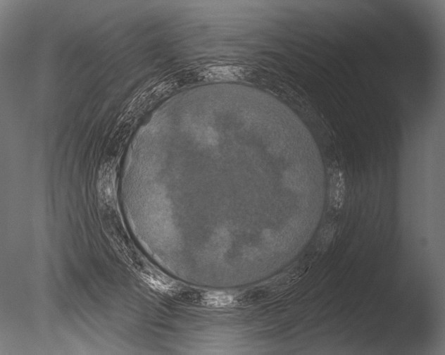 X0000085080701200703261258