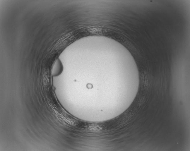 X0000085080702200703261258