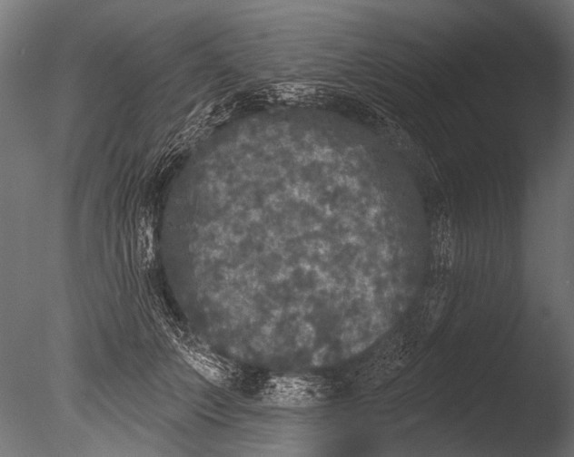 X0000085080703200703261258