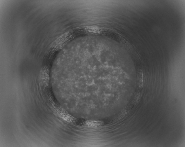 X0000085080707200703261258