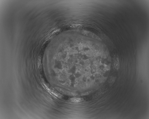 X0000085080711200703261258