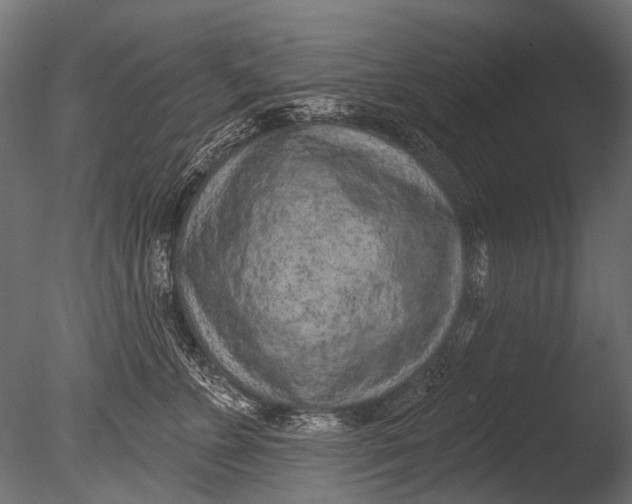 X0000085080715200703261258