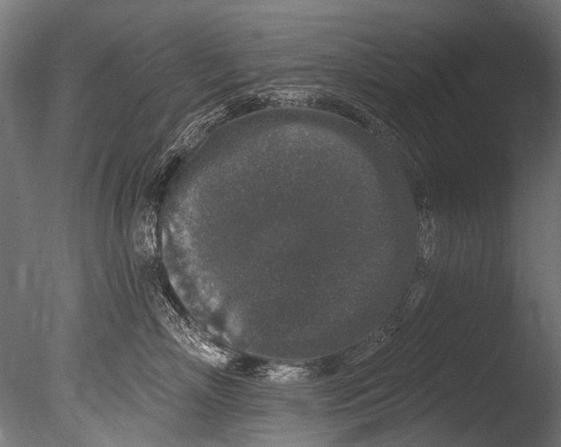 X0000085080718200703261258