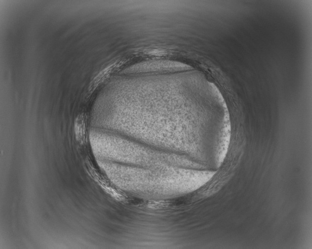 X0000085080720200703261258