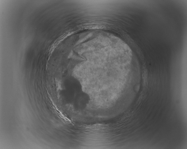 X0000085080721200703261257