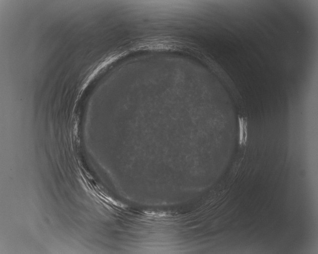 X0000085080723200703261257