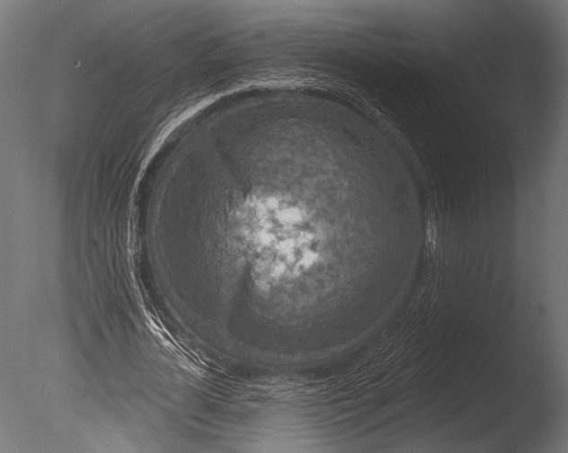 X0000085080724200703261257