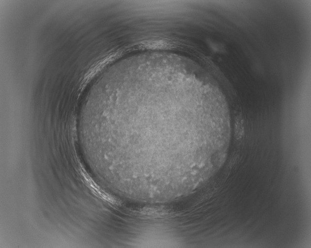 X0000085080725200703261257