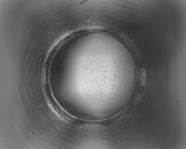 X0000085080726200703261257