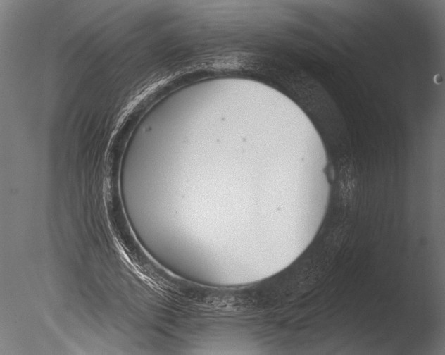 X0000085080728200703261257