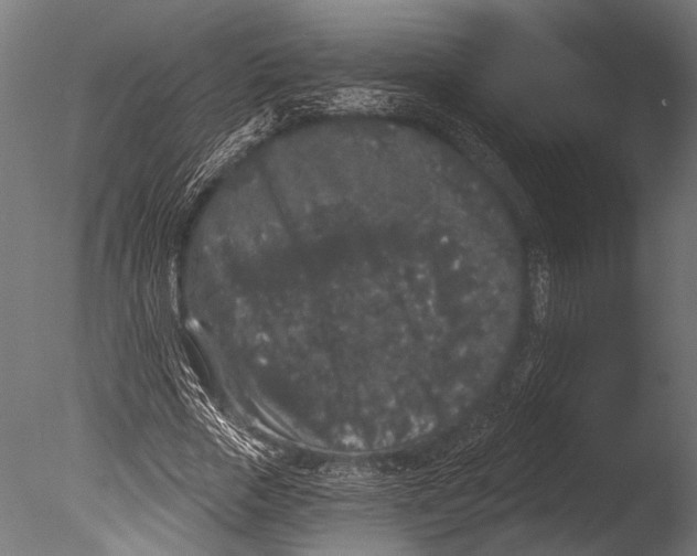 X0000085080729200703261257