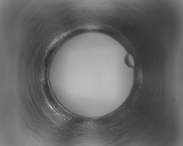 X0000085080732200703261257