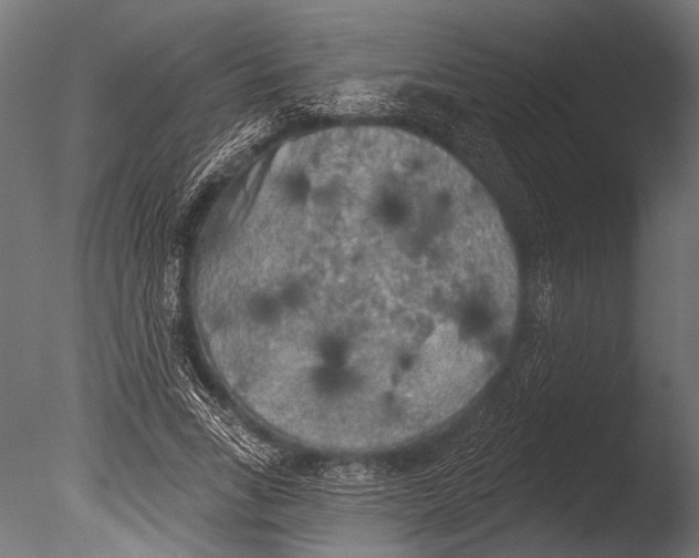 X0000085080735200703261257