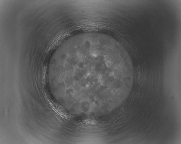 X0000085080742200703261257