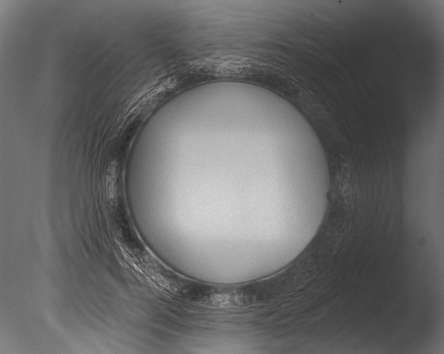 X0000085080744200703261257