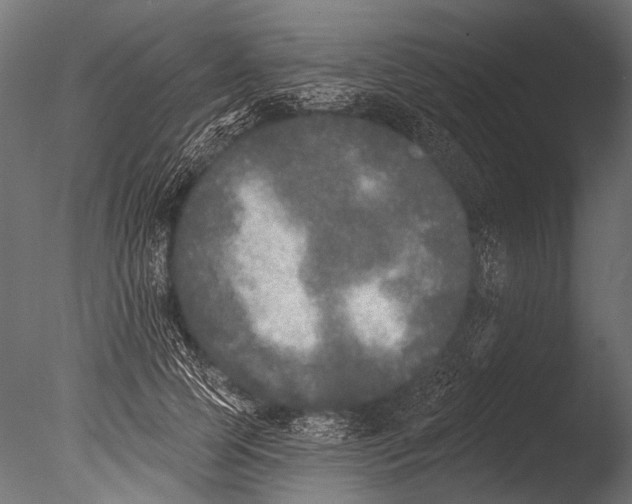 X0000085080745200703261257