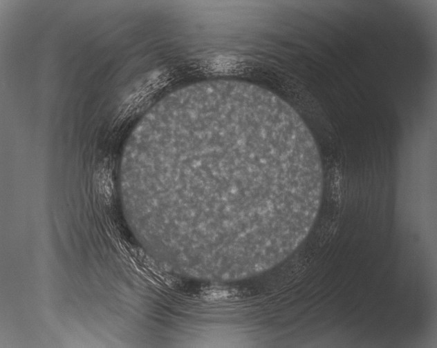 X0000085080746200703261257