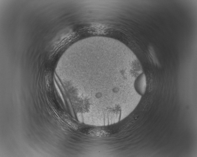 X0000085080747200703261258