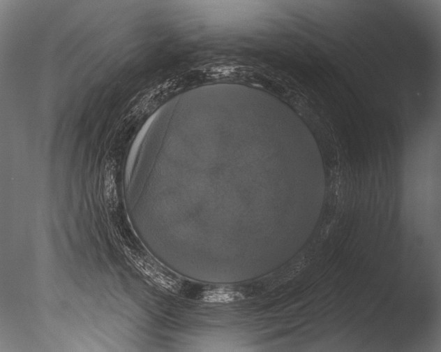 X0000085080754200703261258