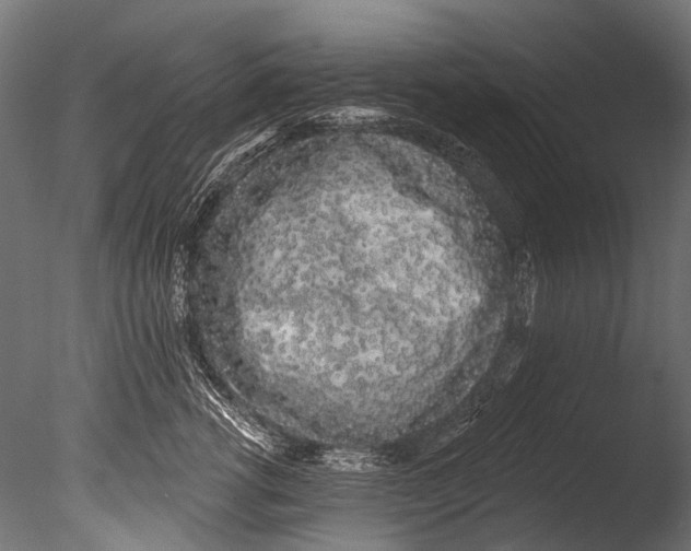 X0000085080762200703261258