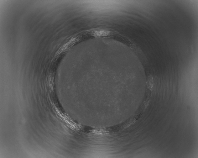 X0000085080763200703261258