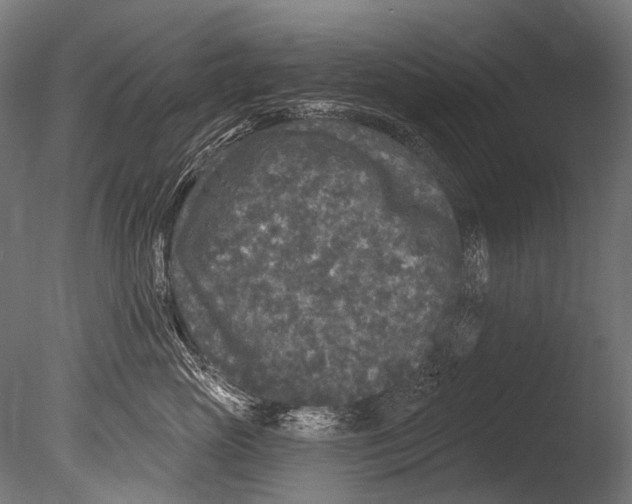 X0000085080765200703261258