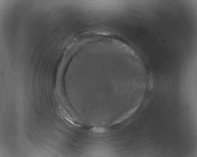 X0000085080766200703261258