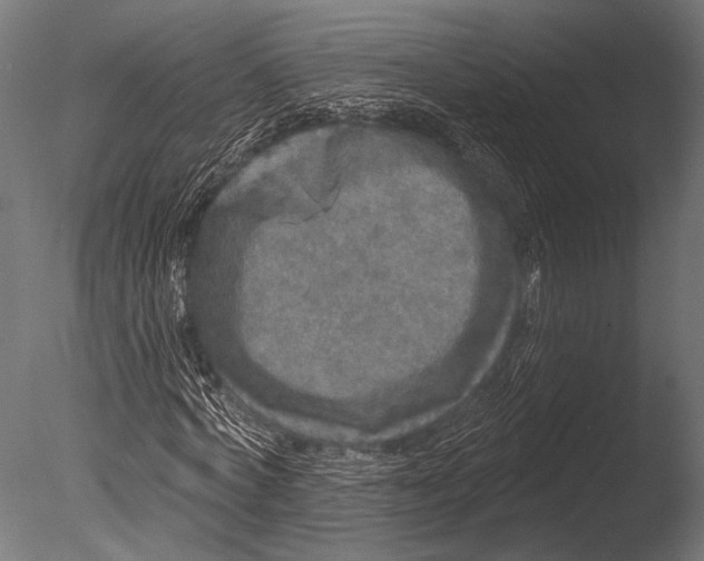 X0000085080772200703261257