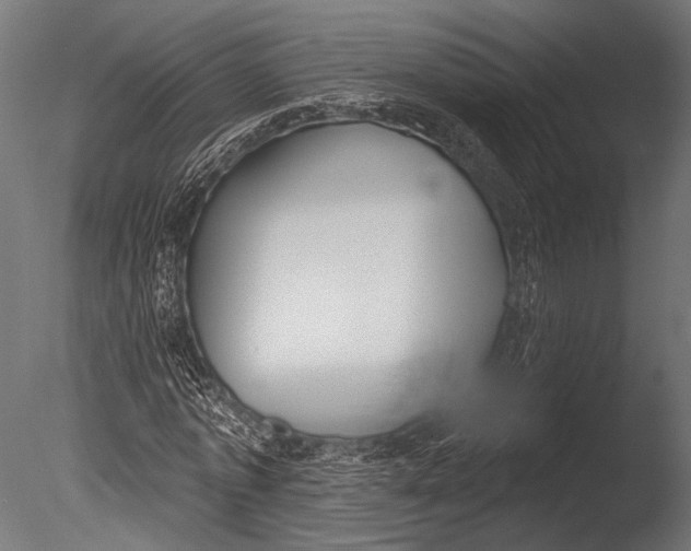 X0000085080773200703261257