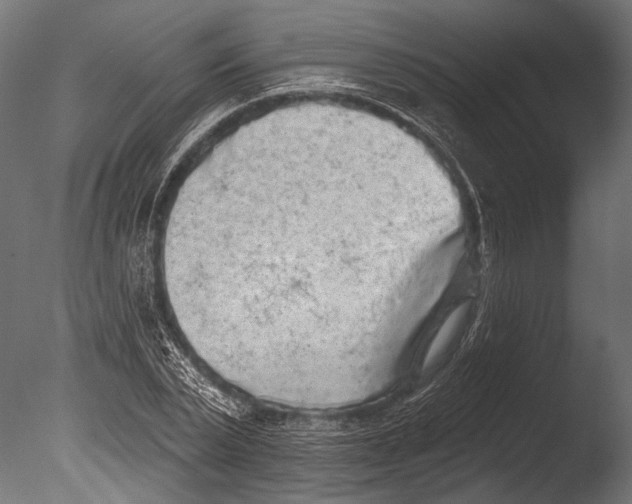 X0000085080783200703261257