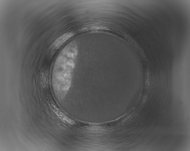 X0000085080785200703261257