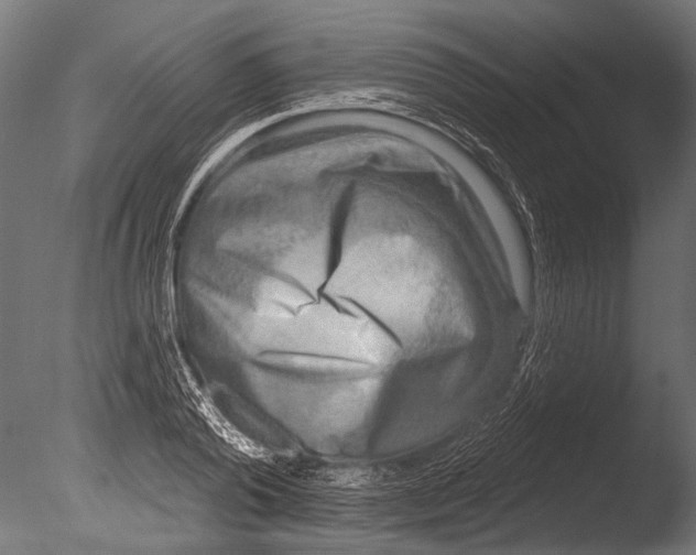 X0000085080792200703261257