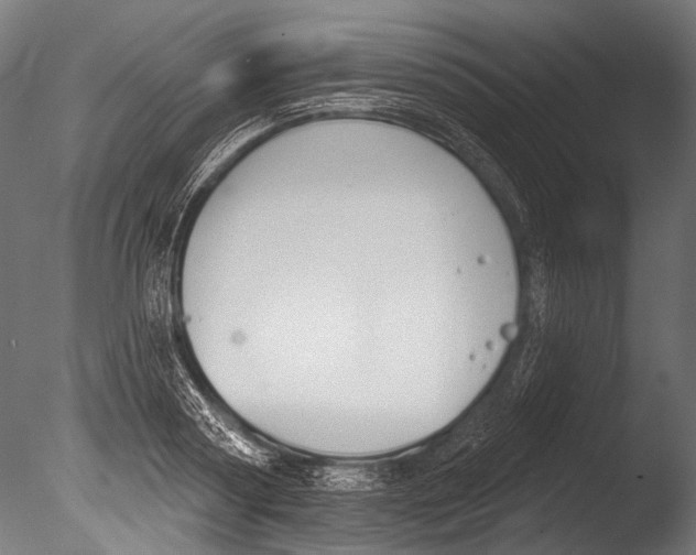 X0000085080794200703261257