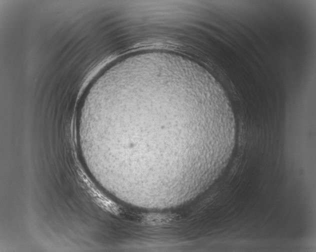 X0000085080796200703261257