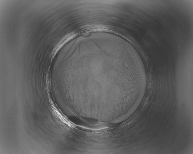 X0000085080806200703261256