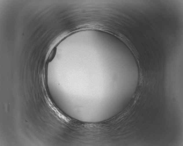 X0000085080812200703261256